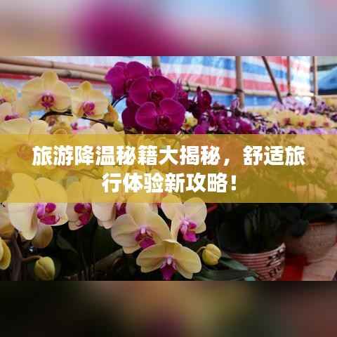 旅游降温秘籍大揭秘,舒适旅行体验新攻略!