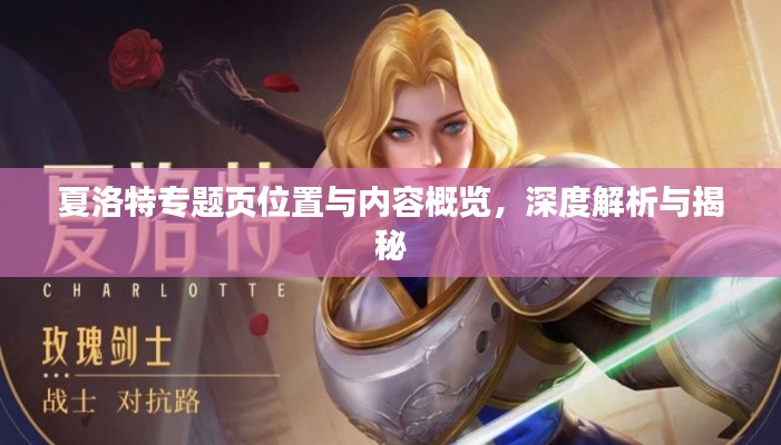 夏洛特专题页位置与内容概览,深度解析与揭秘
