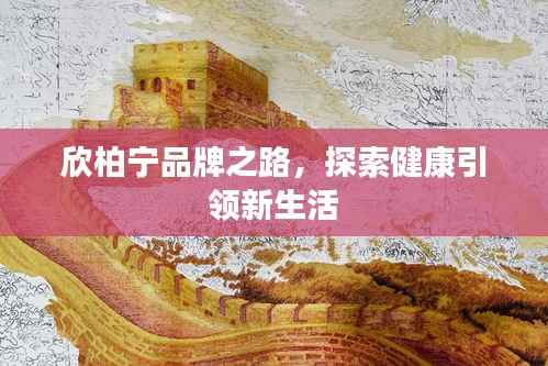 欣柏宁品牌之路，探索健康引领新生活