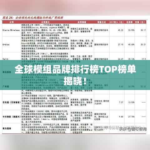 全球模组品牌排行榜TOP榜单揭晓!