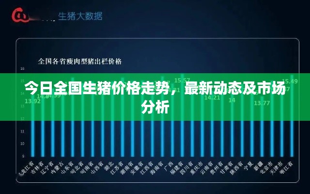 今日全国生猪价格走势,最新动态及市场分析