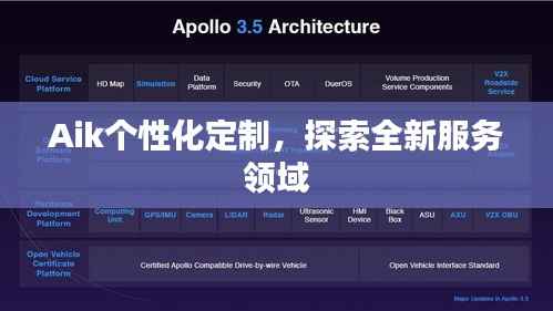 Aik个性化定制,探索全新服务领域