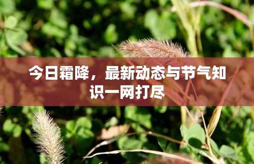 今日霜降,最新动态与节气知识一网打尽