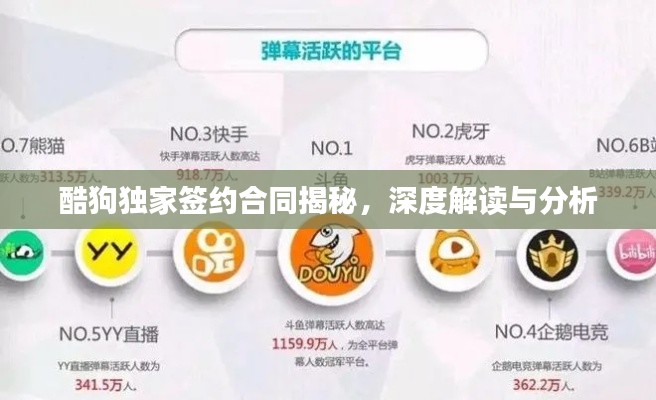 酷狗独家签约合同揭秘，深度解读与分析