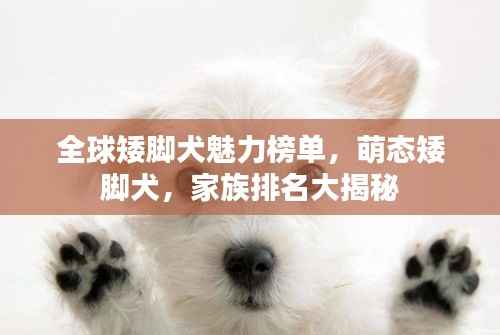 全球矮脚犬魅力榜单,萌态矮脚犬,家族排名大揭秘