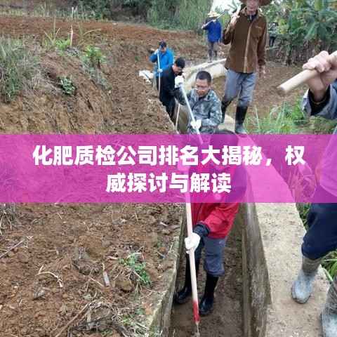 化肥质检公司排名大揭秘，权威探讨与解读