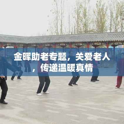 金晖助老专题，关爱老人，传递温暖真情