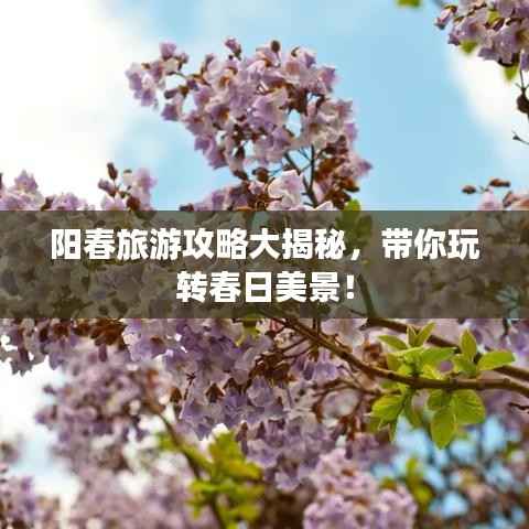 阳春旅游攻略大揭秘,带你玩转春日美景!