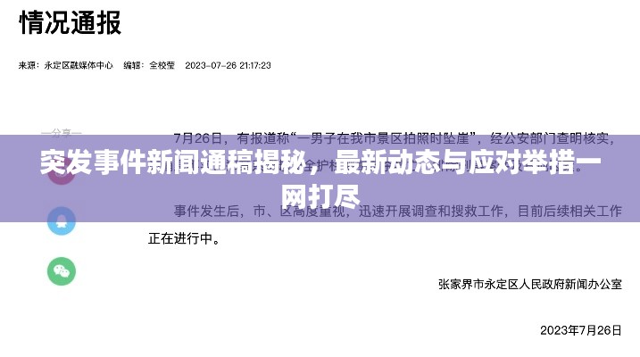 突发事件新闻通稿揭秘,最新动态与应对举措一网打尽