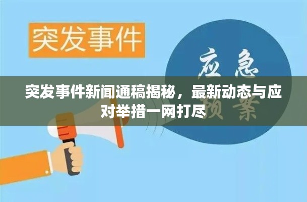 突发事件新闻通稿揭秘,最新动态与应对举措一网打尽