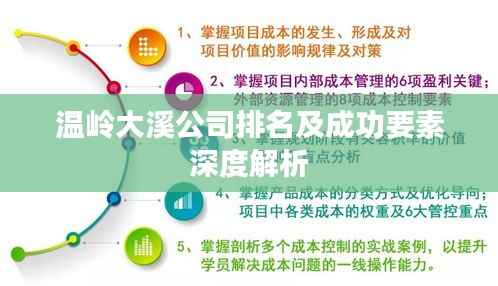 温岭大溪公司排名及成功要素深度解析