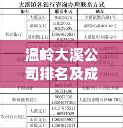 温岭大溪公司排名及成功要素深度解析