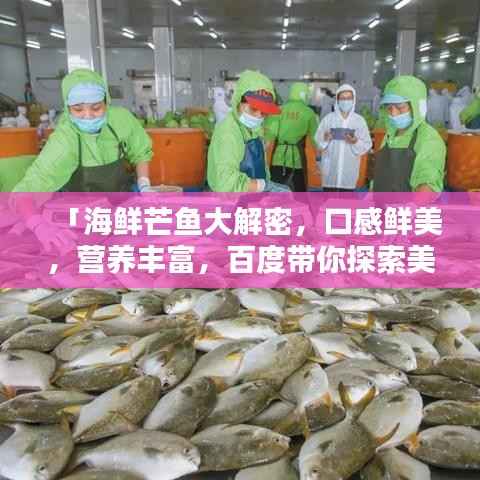 「海鲜芒鱼大解密,口感鲜美,营养丰富,百度带你探索美味新境界!」