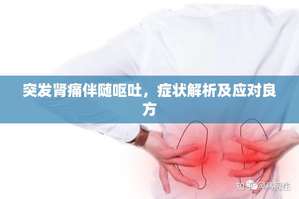 突发肾痛伴随呕吐,症状解析及应对良方