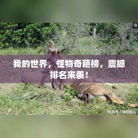 我的世界,怪物奇葩榜,震撼排名来袭!