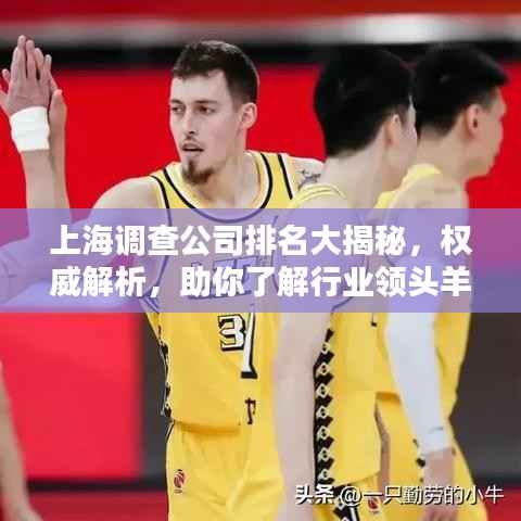 上海调查公司排名大揭秘,权威解析,助你了解行业领头羊!