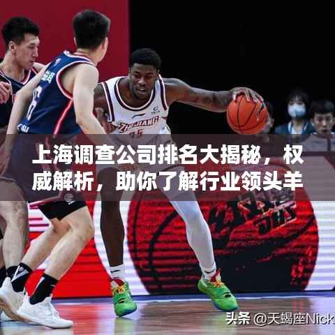 上海调查公司排名大揭秘,权威解析,助你了解行业领头羊!