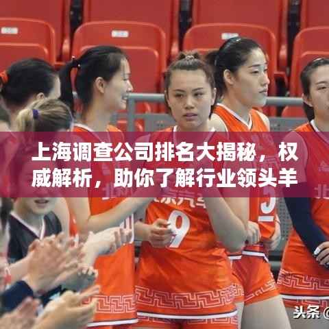 上海调查公司排名大揭秘,权威解析,助你了解行业领头羊!