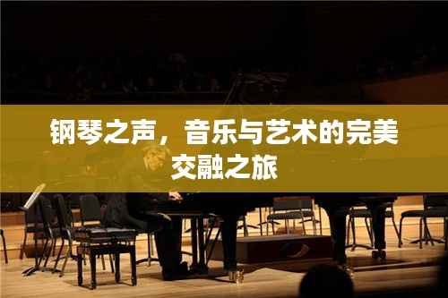 钢琴之声,音乐与艺术的完美交融之旅