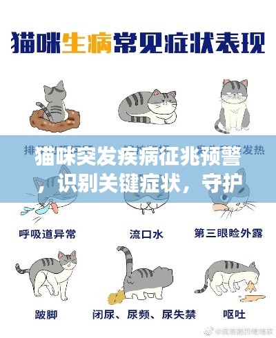 猫咪突发疾病征兆预警,识别关键症状,守护爱宠健康!