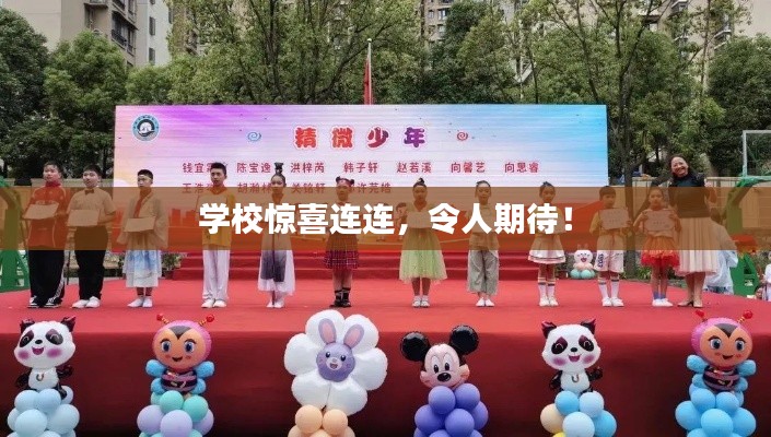 学校惊喜连连,令人期待!