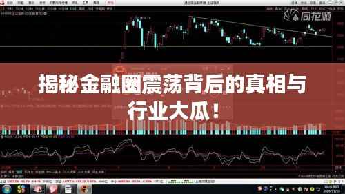 揭秘金融圈震荡背后的真相与行业大瓜！