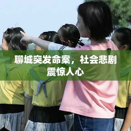 聊城突发命案,社会悲剧震惊人心