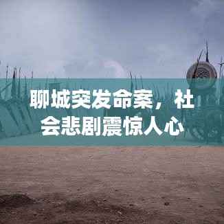 聊城突发命案,社会悲剧震惊人心