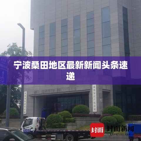 宁波桑田地区最新新闻头条速递