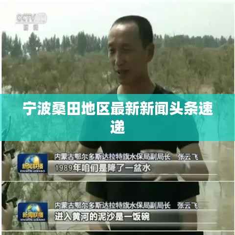 宁波桑田地区最新新闻头条速递