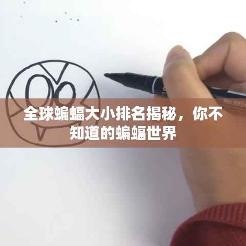 全球蝙蝠大小排名揭秘,你不知道的蝙蝠世界