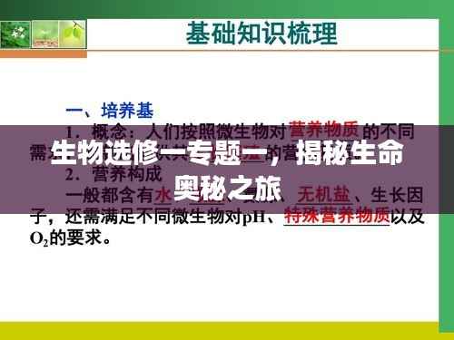 生物选修一专题一,揭秘生命奥秘之旅