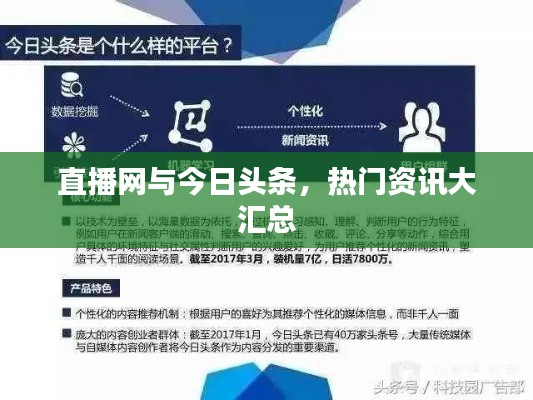 直播网与今日头条,热门资讯大汇总