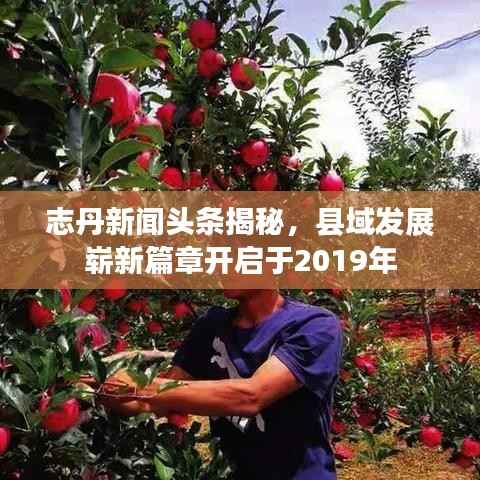 范张鸡黍 第3页