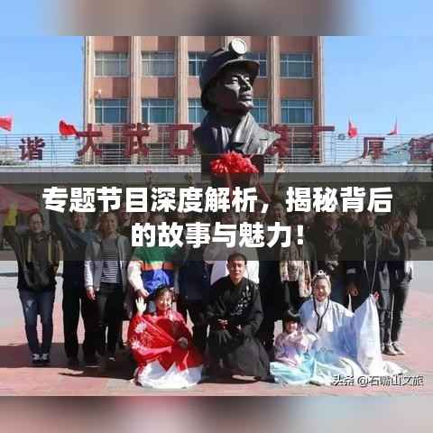 专题节目深度解析,揭秘背后的故事与魅力!