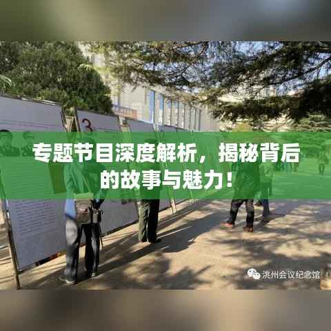 专题节目深度解析,揭秘背后的故事与魅力!