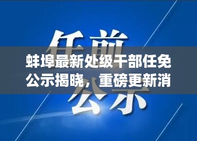 蚌埠最新处级干部任免公示揭晓,重磅更新消息!