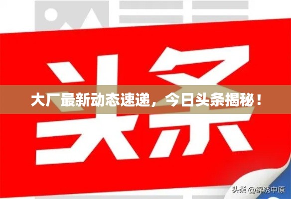 大厂最新动态速递，今日头条揭秘！