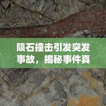 陨石撞击引发突发事故,揭秘事件真相