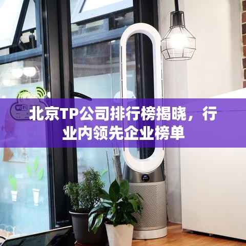 北京TP公司排行榜揭晓,行业内领先企业榜单
