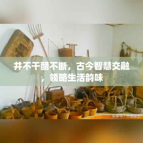 井不干醋不断,古今智慧交融,领略生活韵味