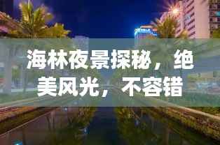 海林夜景探秘，绝美风光，不容错过的旅游攻略！