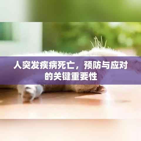 笼中之鸟 第2页