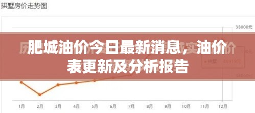 肥城油价今日最新消息,油价表更新及分析报告