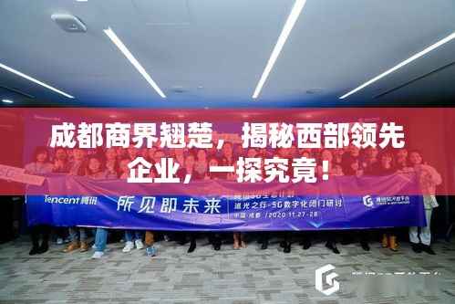成都商界翘楚,揭秘西部领先企业,一探究竟!