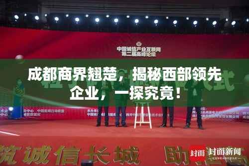 成都商界翘楚,揭秘西部领先企业,一探究竟!