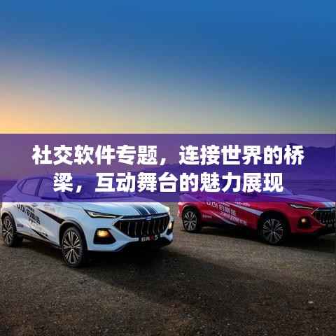 社交软件专题,连接世界的桥梁,互动舞台的魅力展现