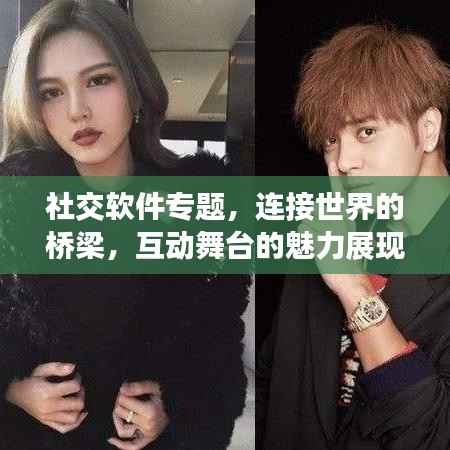 社交软件专题,连接世界的桥梁,互动舞台的魅力展现