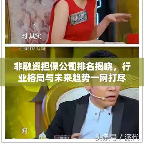 非融资担保公司排名揭晓,行业格局与未来趋势一网打尽