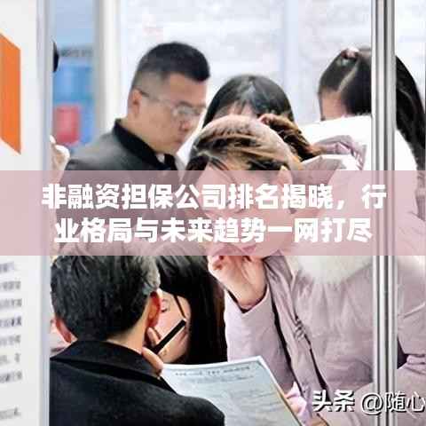 非融资担保公司排名揭晓,行业格局与未来趋势一网打尽